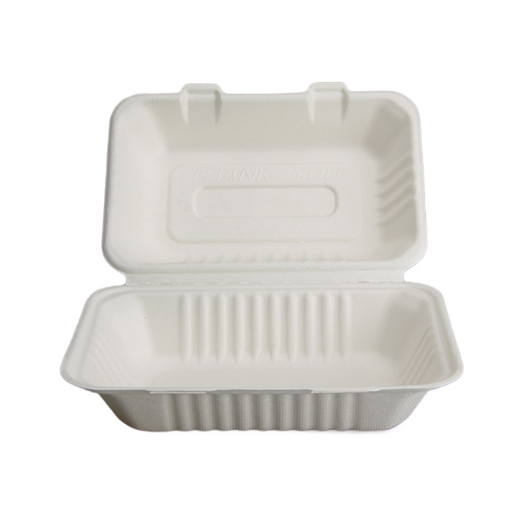Sugarcane lunch Box BIOBOX 228x154x80mm, white, 50pcs/pack
